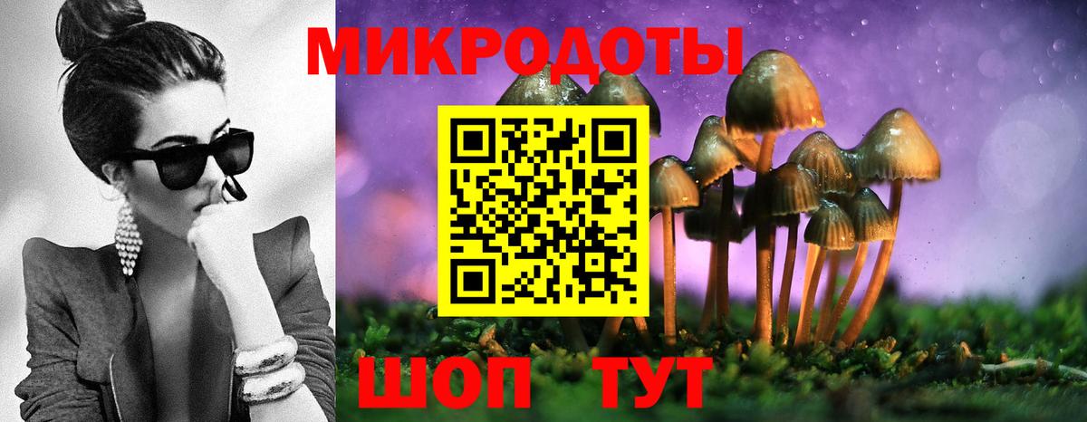 Галлюциногенные грибы Cubensis Клинцы